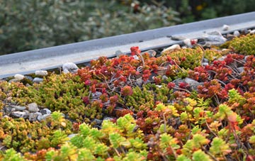 the cost of Aldermoor green roof installation