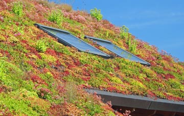 Aldermoor living roof systems