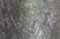 Aldermoor fibreglass roof work